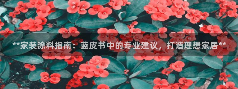 和记(福建)商贸有限公司：**家装涂料指南：蓝皮书中的专业建议，打造理想家居**