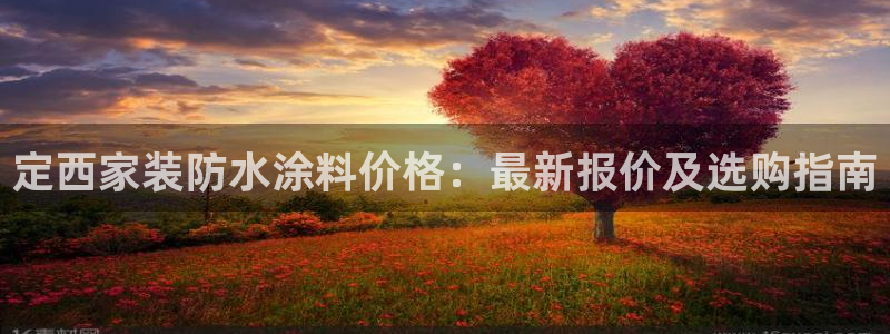和记国际官网官网：定西家装防水涂料价格：最新报价及选购指南