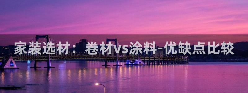 和记Ag：家装选材：卷材vs涂料-优缺点比较