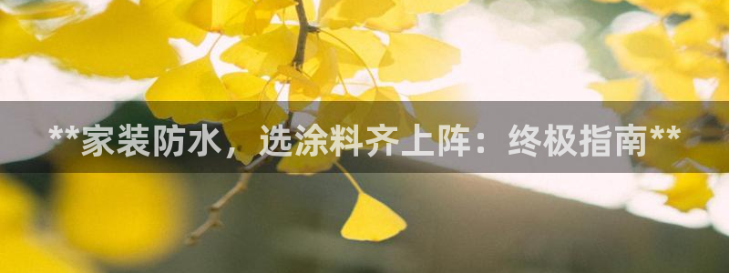 和记国际开户：**家装防水，选涂料齐上阵：终极指南**