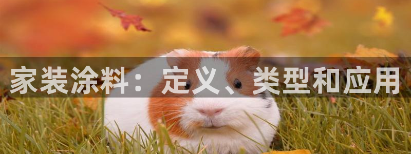 和记ag网址