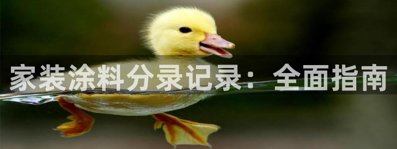 和记官网登录：家装涂料分录记录：全面指南