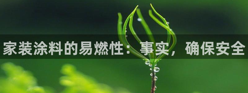 和记官方直营注册导航：家装涂料的易燃性：事实，确保安全