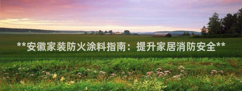 和记ag捕鱼害死多少人：**安徽家装防火涂料指南：提升家居消防安全**