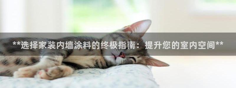 和记H88