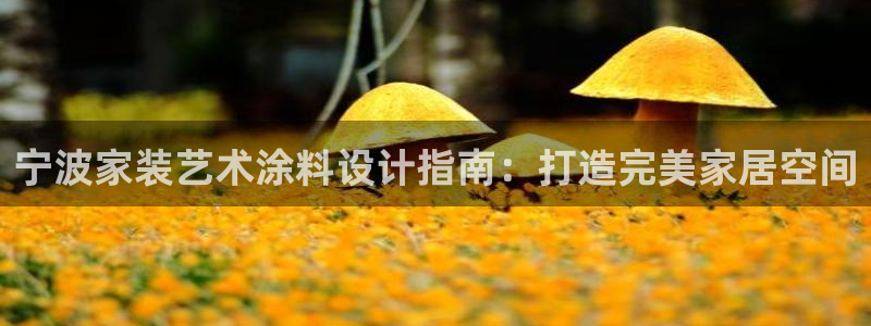 和记ag旗舰厅：宁波家装艺术涂料设计指南：打造完美家居空间