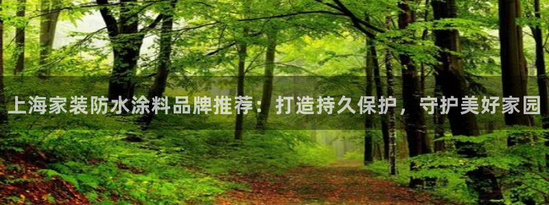 和记官网官方网站：上海家装防水涂料品牌推荐：打造持久保护，守护美好家园