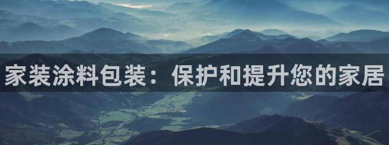 和记paging：家装涂料包装：保护和提升您的家居