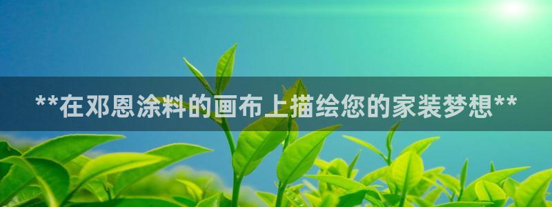 和记国际开户：**在邓恩涂料的画布上描绘您的家装梦想**