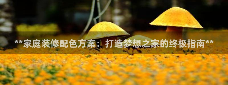 和记官方直营：**家庭装修配色方案：打造梦想之家的终极指南**