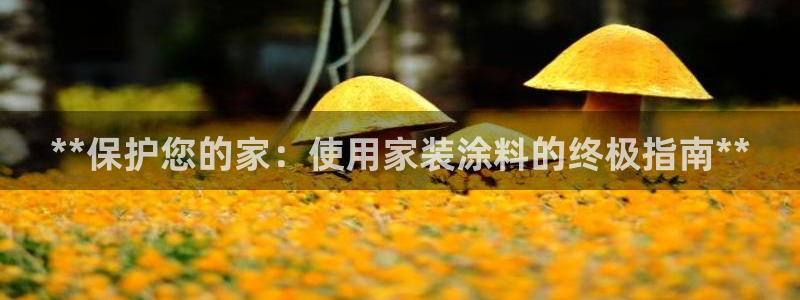 和记ag网页版：**保护您的家：使用家装涂料的终极指南**