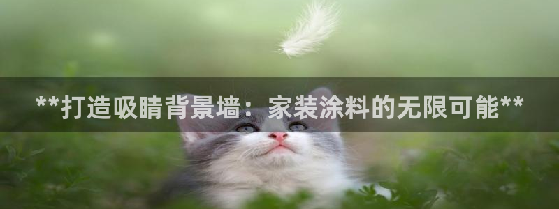 和记国际电讯市值：**打造吸睛背景墙：家装涂料的无限可能**