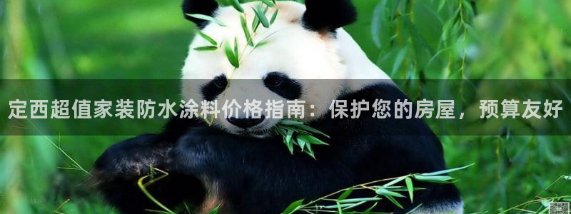 和记国际官网官网：定西超值家装防水涂料价格指南：保护您的房屋，预算友好