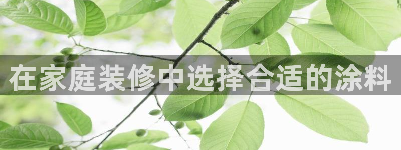 和记ag旗舰国际