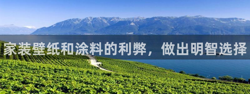 和记官方网址：家装壁纸和涂料的利弊，做出明智选择