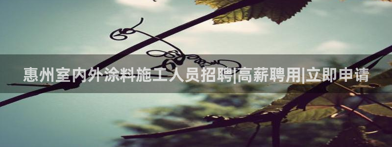 江苏和记数码科技有限公司：惠州室内外涂料施工人员招聘|高薪聘用|立即申请