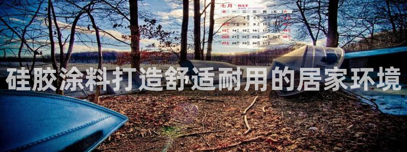 和记官方直营：硅胶涂料打造舒适耐用的居家环境