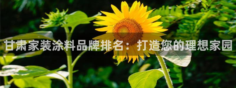 江苏和记餐饮有限公司：甘肃家装涂料品牌排名：打造您的理想家园