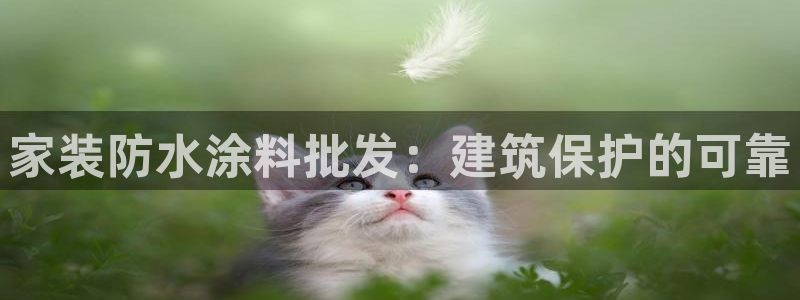 上海和记餐饮：家装防水涂料批发：建筑保护的可靠