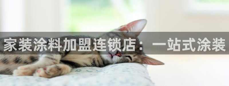 和记 官网：家装涂料加盟连锁店：一站式涂装
