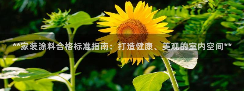 和记广告女主角：**家装涂料合格标准指南：打造健康、美观的室内空间**