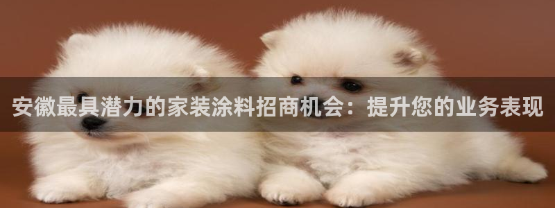 和记官方网址：安徽最具潜力的家装涂料招商机会：提升您的业务表现