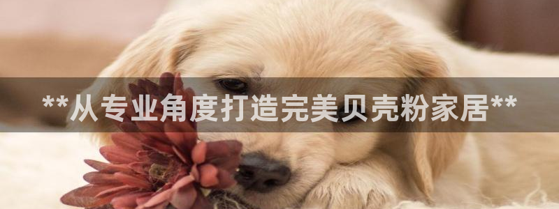 和记官方平台：**从专业角度打造完美贝壳粉家居**