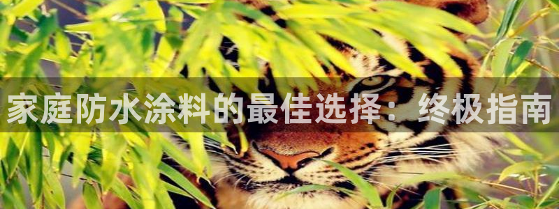 和记 首页：家庭防水涂料的最佳选择：终极指南