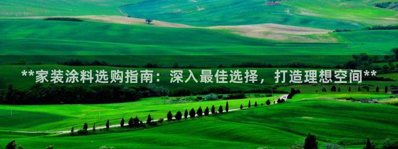 和记2017app：**家装涂料选购指南：深入最佳选择，打造理想空间**