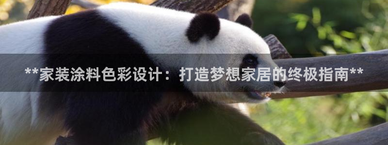 和记ag旗舰厅：**家装涂料色彩设计：打造梦想家居的终极指南**
