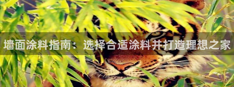 和记官方平台：墙面涂料指南：选择合适涂料并打造理想之家