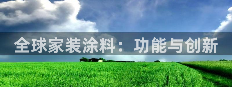 和记官方：全球家装涂料：功能与创新