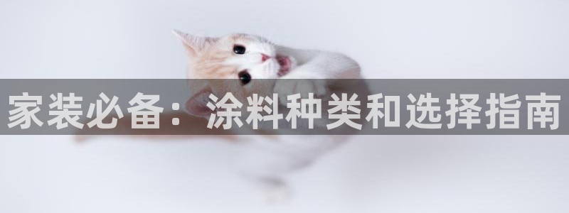 和记H88：家装必备：涂料种类和选择指南