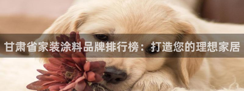 和记5g电讯：甘肃省家装涂料品牌排行榜：打造您的理想家居