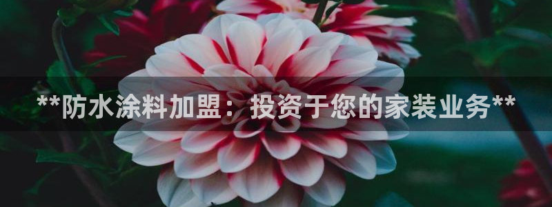 和记国际开户：**防水涂料加盟：投资于您的家装业务**