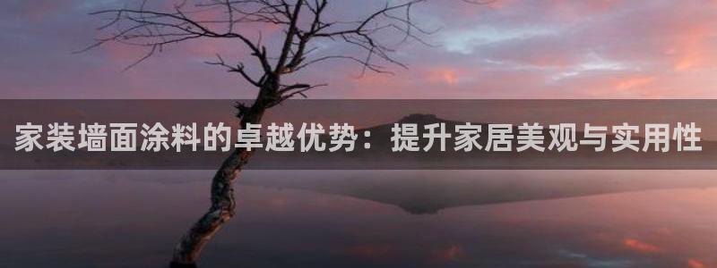 和记国际听：家装墙面涂料的卓越优势：提升家居美观与实用性