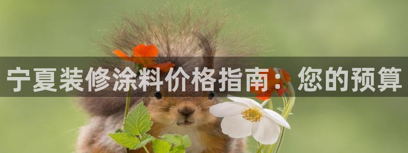 官方和记国际平台登录：宁夏装修涂料价格指南：您的预算