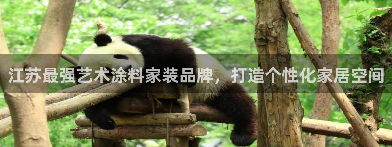 和记2017app：江苏最强艺术涂料家装品牌，打造个性化家居空间