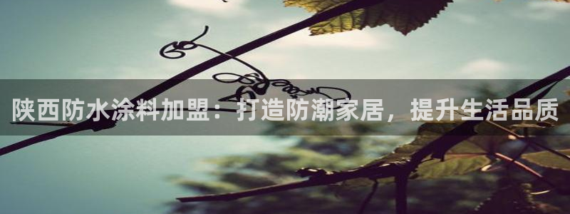 和记国际客服：陕西防水涂料加盟：打造防潮家居，提升生活品质