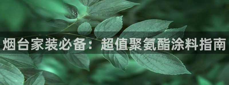 深圳和记科技有限公司：烟台家装必备：超值聚氨酯涂料指南