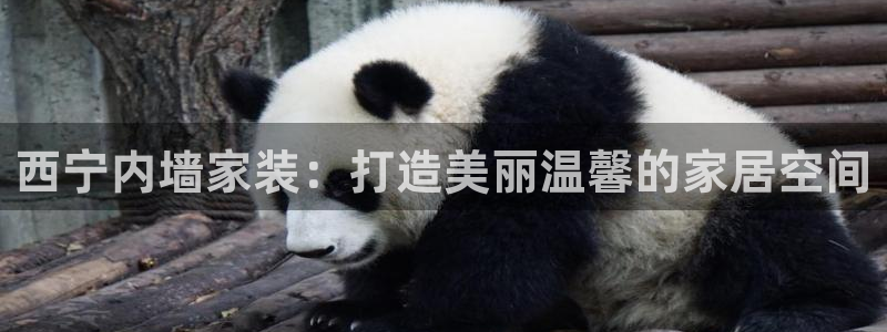 和记 首页：西宁内墙家装：打造美丽温馨的家居空间