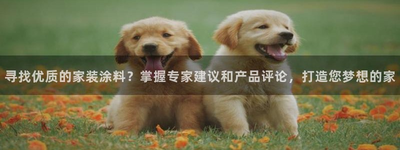 和记app官网登录：寻找优质的家装涂料？掌握专家建议和产品评论，打造您梦想的家