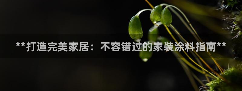 和记ag捕鱼害死多少人：**打造完美家居：不容错过的家装涂料指南**