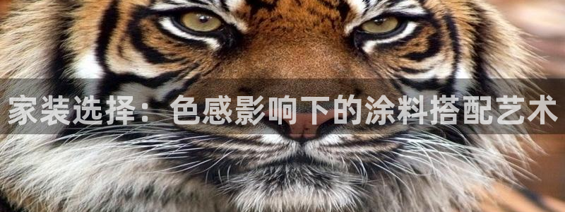 和记国际听