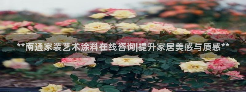 和记国际官网官网：**南通家装艺术涂料在线咨询|提升家居美感与质感**