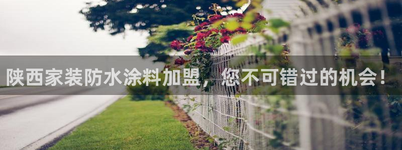 和记ag旗舰厅：陕西家装防水涂料加盟，您不可错过的机会！