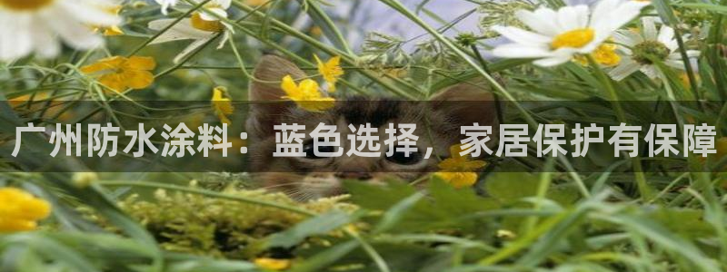 和记平台官网：广州防水涂料：蓝色选择，家居保护有保障