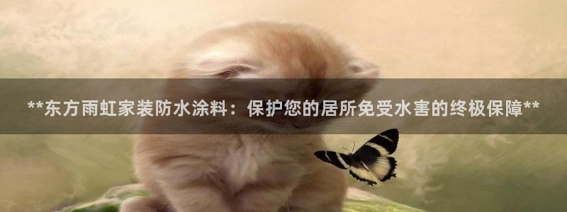 和记官方平台：**东方雨虹家装防水涂料：保护您的居所免受水害的终极保障**