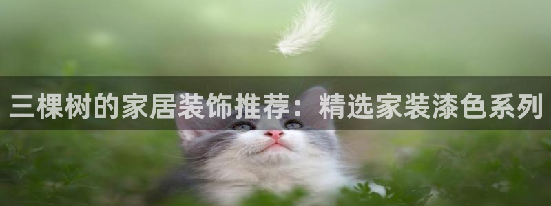和记国际开户