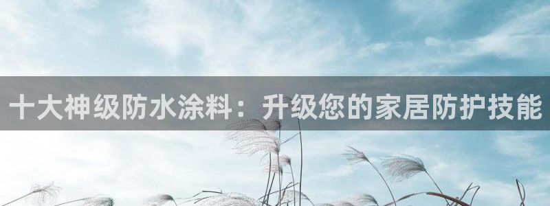 和记国际听